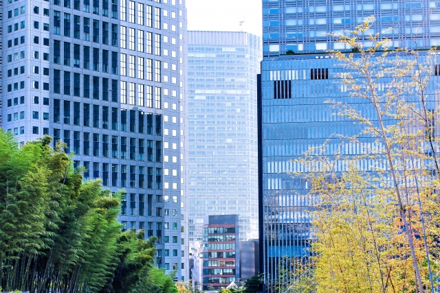 Company Valuation and Due Diligence